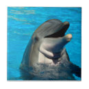 Search for aquatic tiles Dolphin