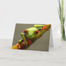 Search for tree frogs cards Rainforest