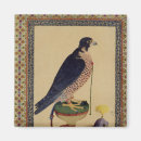 Search for falconry magnets 17th