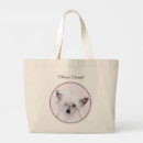 Search for chinese crested powderpuff Dog