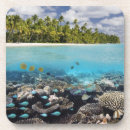 Search for multi coloured coasters Fish