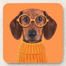 Search for small dog coasters Domestic animals