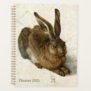 Search for durer Hare