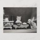 Search for cleans postcards Animals