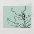 Search for trees design postcards Abstract