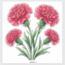 Search for pink carnation stickers Bouquet