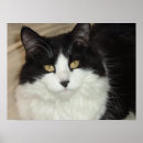 Search for long black hair posters Eyes