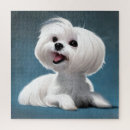 Search for maltese dog puzzles Portrait