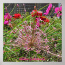 Search for allium art Garden