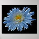 Search for black and white daisy art Petals