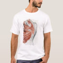 Search for torso tshirts Jean
