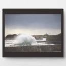 Search for rhode island Nature