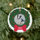 Search for best dog dad christmas tree decorations For pets
