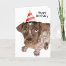 Search for german shorthaired pointer cards Puppy