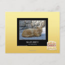 Search for maturing postcards I can has cheezburger