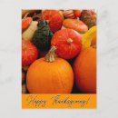 Search for fall bounty postcards Thanksgiving