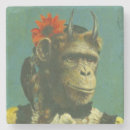 Search for chimp monkey coasters Funny