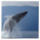 Search for whale tiles Fish