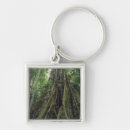 Search for old growth forest accessories Lush