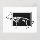 Search for animal skeletons postcards Black and white