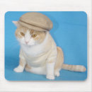 Search for chubby electronics Kitty