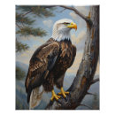 Search for eagle feather art Majestic