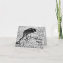 Search for crane bird cards Sandhill