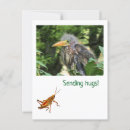 Search for beak postcards Nature