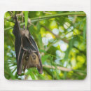 Search for bat mousepads Animal