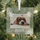 Search for snowflakes christmas tree decorations Dog photo