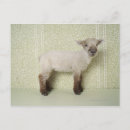 Search for floral wallpaper postcards Nature