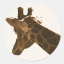 Search for long neck stickers Nature
