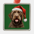 Search for wirehaired pointing griffon christmas tree decorations Animal