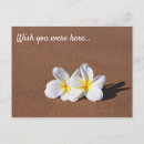 Search for wish you were here postcards Tropical