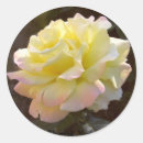 Search for floral photograph stickers Flower