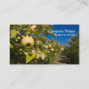 Search for apple orchard farm business cards Farming