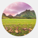 Search for tree sunset stickers Usa