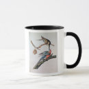 Search for pigeon bird mugs Birds