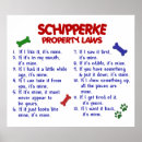 Search for schipperke posters Cute