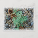 Search for pine needles postcards Trees