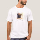 Search for bullmastiffs Animals