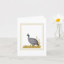 Search for colourful bird art postcards Elegant