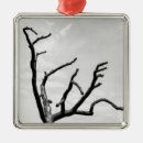 Search for bark christmas tree decorations Black and white