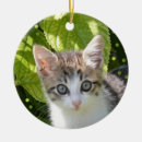 Search for brown tabby cat christmas tree decorations Cute