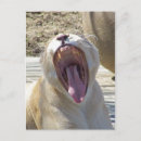 Search for family new address postcards Housewarming