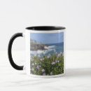 Search for savanah mugs Kauai