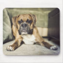 Search for boxer dogs mousepads Pets