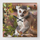 Search for ring tailed lemur art Primate