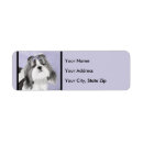 Search for cute shih tzu return address labels Dog
