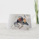 Search for mandarin cards Bird